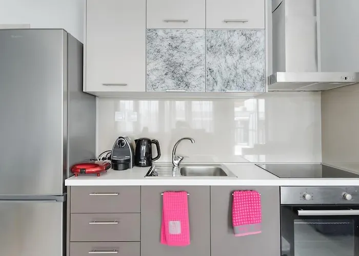 Penthouse Suite In The City Center
